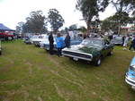 Member F8RT at car show in Australia