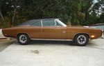Peter's Charger
Gator Top