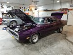 Ross' 500 in Canada
