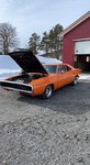 Aleksander's 500 in Norway