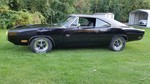 Fred's R/T