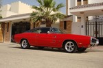 Azzam's Charger
in Qatar