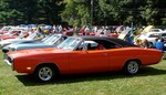 Brian's 500