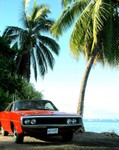 Hawaiian Charger